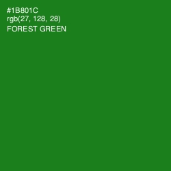 #1B801C - Forest Green Color Image
